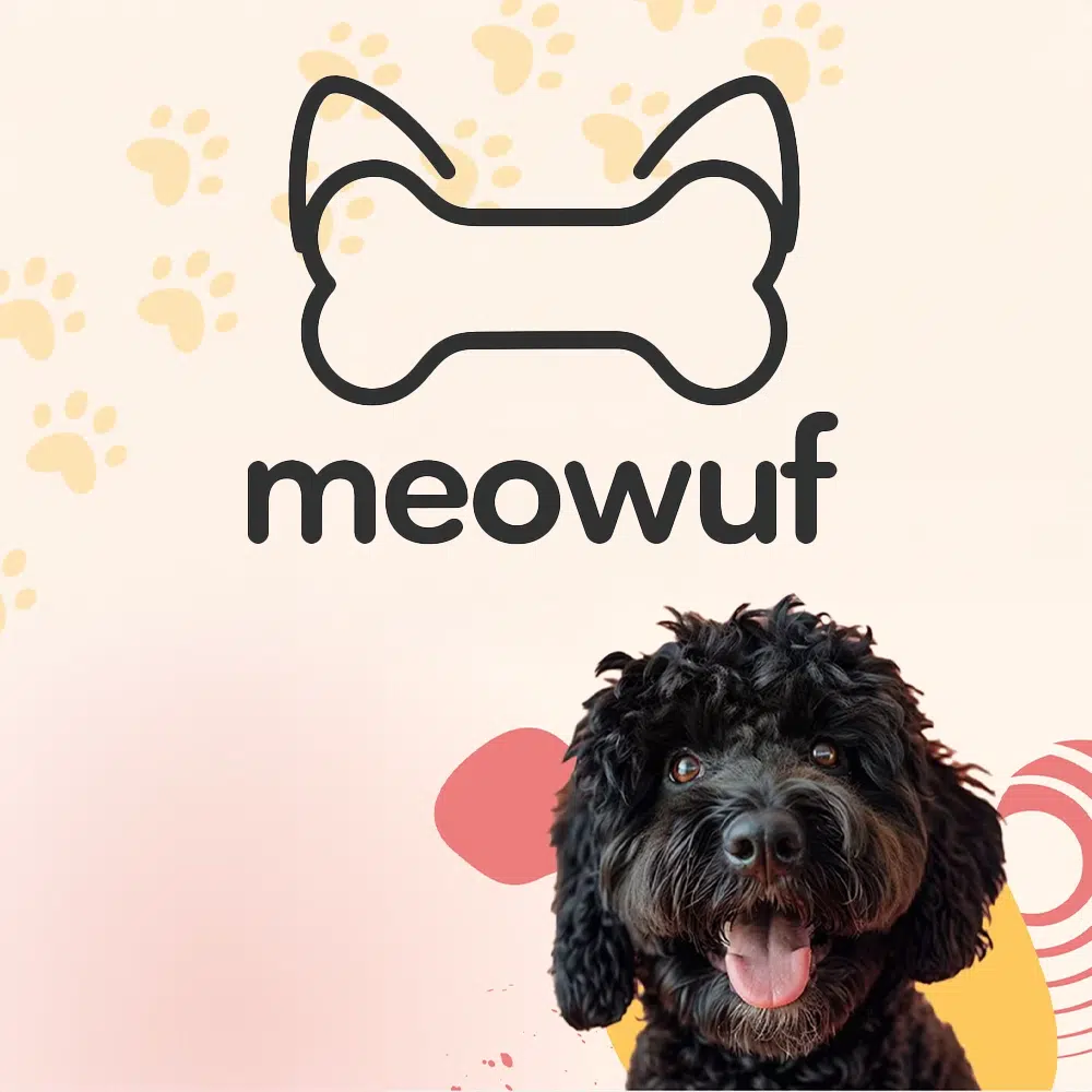 אתר הזמנות לחנות חיות